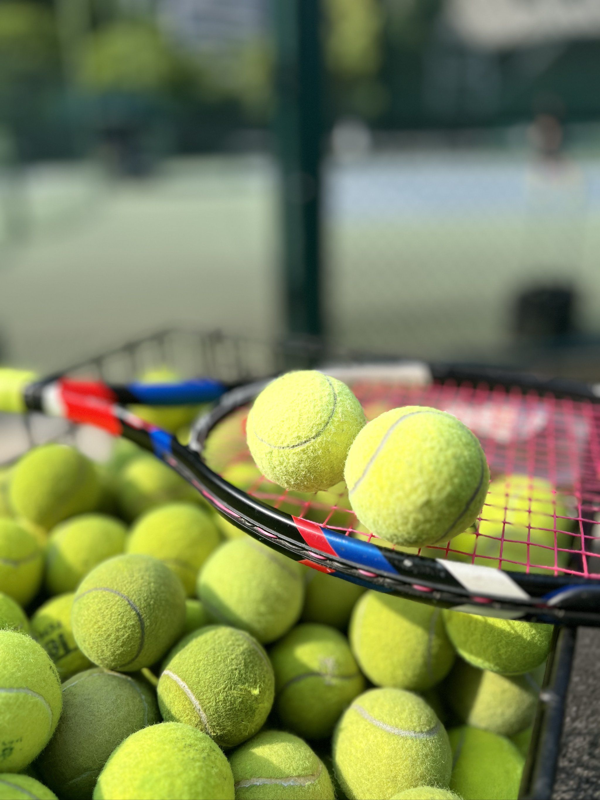 的执教轨迹 的执教轨迹